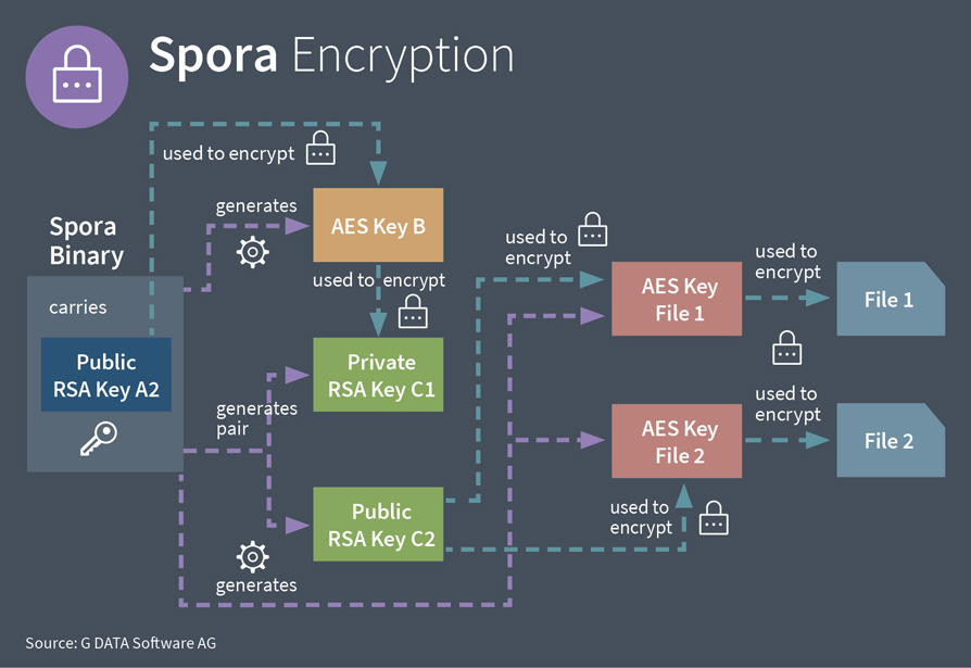 G DATA info graphic of encryption steps Spora takes
